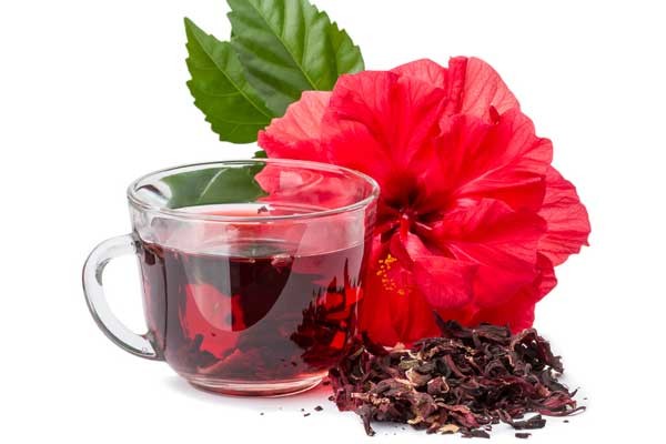 gurhal flower tea