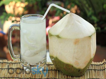 Coconut Summer Benefits 