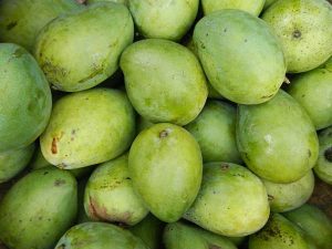 Raw Mango Benefits
