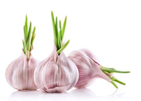 Know, if you eat garlic in the morning, you will get many benefits by night
