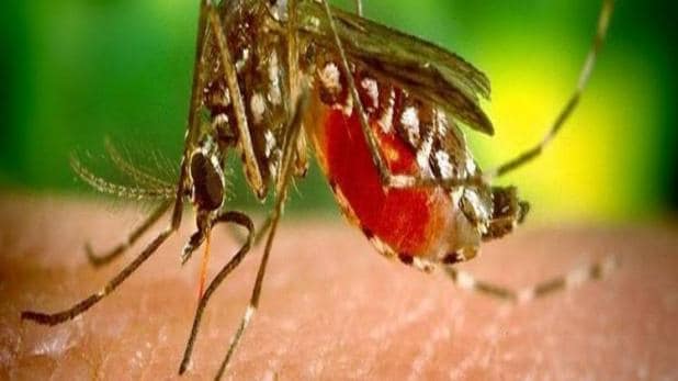 This is how you can protect yourself with #Dengue in every season