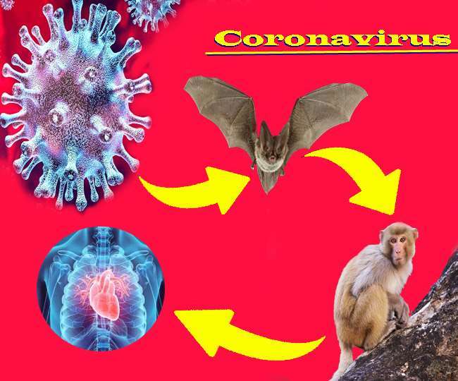  These # corona virus symptoms seen in the body, so understand ...