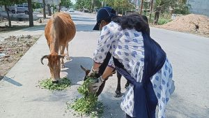  Poonam Pandey, District President of Hindu organization Vishwahindu Federation took initiative to eradicate the hunger of stray animals
