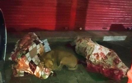 KANPUR: CM YOGI's order till TWEET only, helpless sleeping on roadside foil