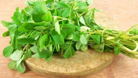  #HEALTH: Fenugreek leaves beneficial for diabetes and heart patients, learn ...