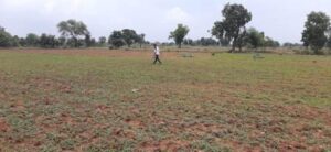 Israeli team will teach farming and gardening tricks in less water in Bunledkhand