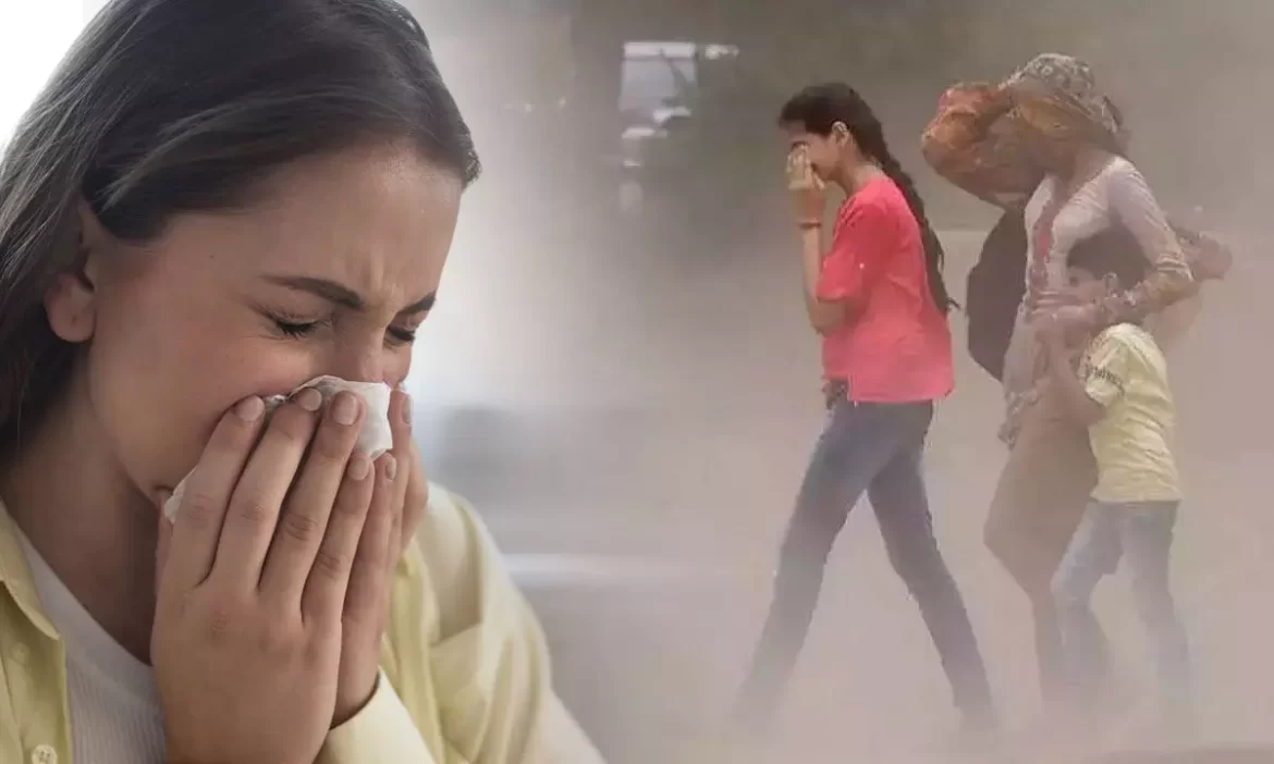 Dust Allergy Remedies