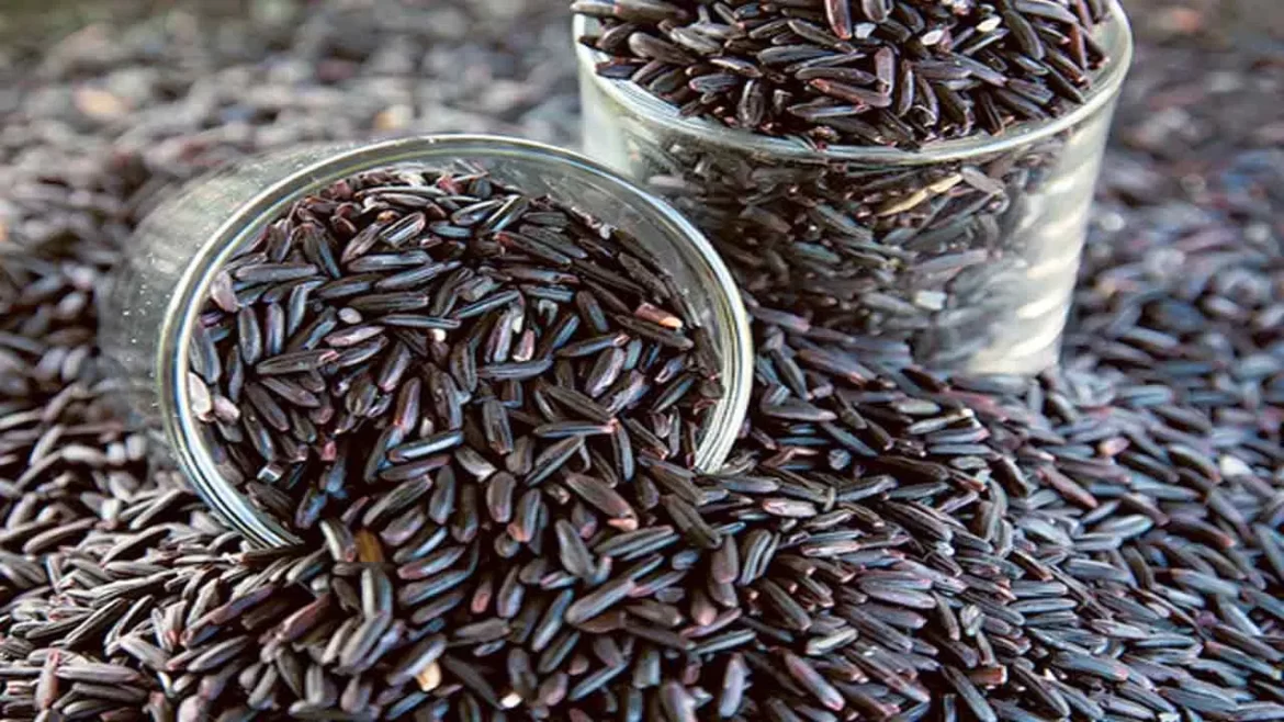 Black Rice Benefits