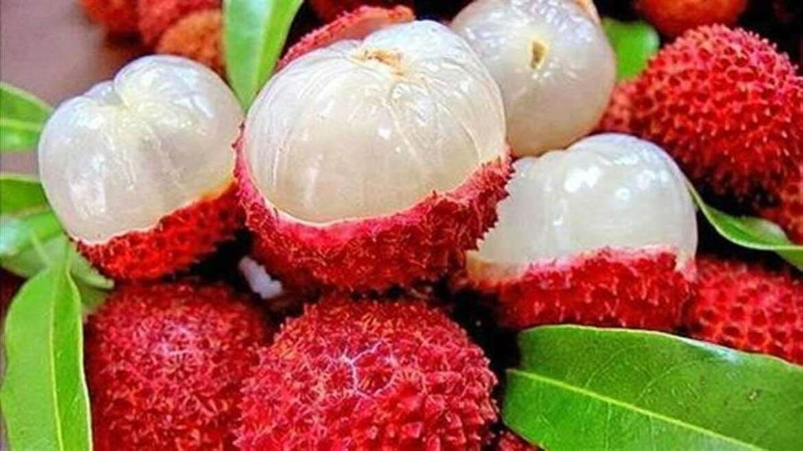 Litchi ke kya hain fayade