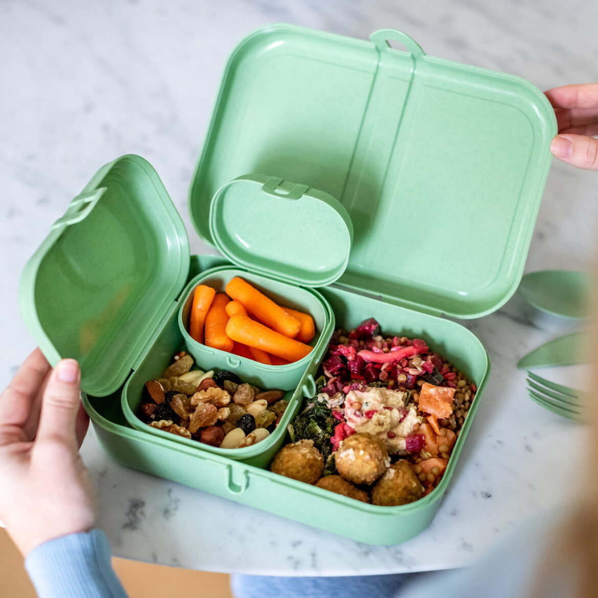 Plastic Food Containers Health Risks