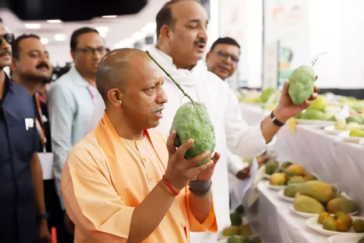 Modi-Yogi Mango,