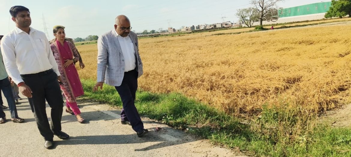 KANPUR NEWS : बेमौसम बारिश से फसल क्षति का डीएम ने किया स्थलीय निरीक्षण, गाटा-वार सर्वे कर शीघ्र रिपोर्ट भेजने के निर्देश